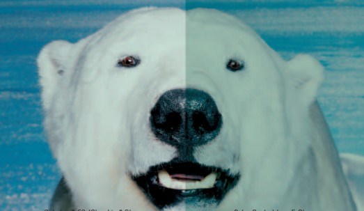 鸿运国际·(中国)最新官方网站