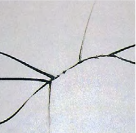 鸿运国际·(中国)最新官方网站