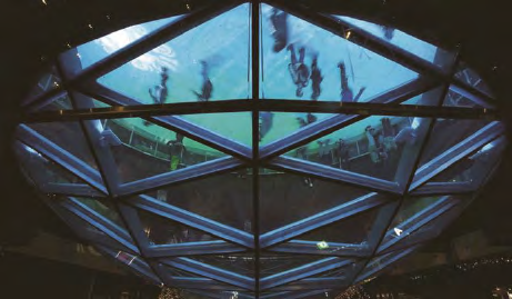 鸿运国际·(中国)最新官方网站